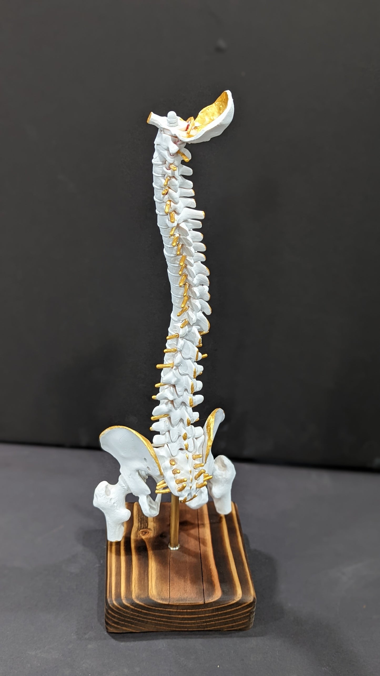 Bone Art Display Piece
